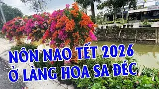 Nôn Nao Xuống Khám Phá Làng Hoa Sa Đéc Phục Vụ Tết 2026 | Góc Miền Tây #560