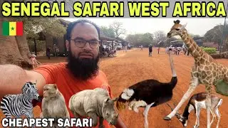 Exploring Bandia Reserve Safari Park: A Senegal Affordable Adventure | Dakar Senegal Safari Vlog