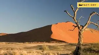 KALAHARI DESERT-&nbsp;a semi-arid&nbsp;sandy&nbsp;savanna