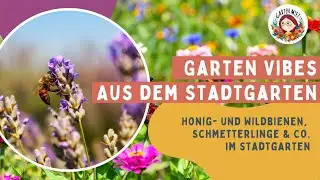 Reihenhausgarten insektenfreundlich gestalten