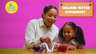 WALKING WATER EXPERIMENT AND SKITTLE EXPERIMENT!!!!!