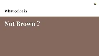 Nut Brown color #86695e hex color - Brown color - Cool color 86695e