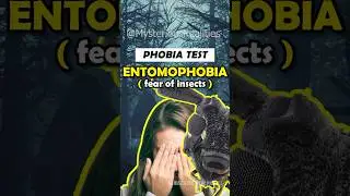 ENTOMOPHOBIA: DO YOU HAVE IT? #shorts #test #scary #phobia #fear #insects #subscribe