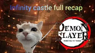 Demon slayer Infinity castle part1 recap #demonslayer #anime #cat 