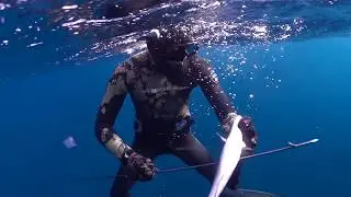 XXXV OPEN TROFEO PEP AMENGUAL DE PESCA SUBMARINA 2017