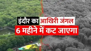 इंदौर का आखिरी जंगल, 6 महीने में कट जाएगा