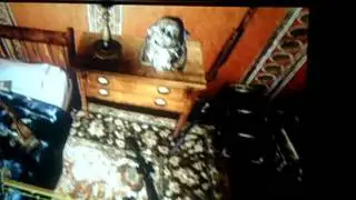 My fallout New Vegas Weapons