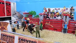 Taking the bulls for the RODEO/PART#3/ BULL RIDING/ JARIPEO