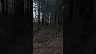 Ute och vandrar, men ganska kyligt i naturen🌲❄