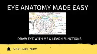 Anatomy of Eye  | Structure & Functions | Draw With Me | HAP-1 B.Pharm & Pharm D