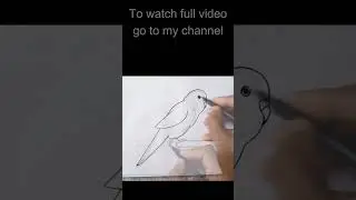Budgie Bird Line Drawing with Pencil & Sketch Pen | #Budgie #drawing #art