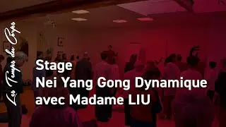 Extraits du stage de Nei Yang Gong dynamique avec Madame LIU aux Temps du Corps (06/12/2019)