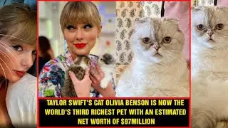 Taylor Swift's Cat: World's Third Richest Pet Worth $100 Million