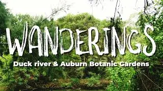 Wanderings: Duck River and Auburn Botanic Gardens