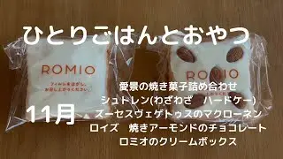 わたしのひとりごはんとおやつ　　2025年11月