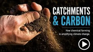 Catchments & Carbon, 6 mins