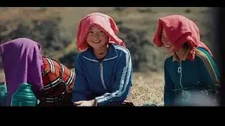 New Tibetan Song 2025 | བོད་གཞས། ཕ་ཡུལ་དྲན་མགུར། ས་ནག་གཞས་ཚོགས། 