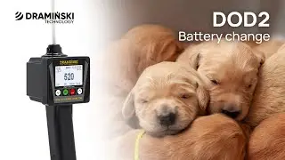 DOD2 Battery Changing | Dog Ovulation Detector Dramiński