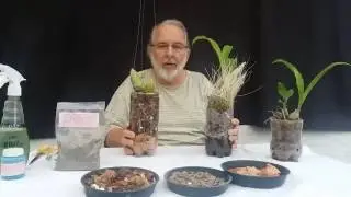 Vaso de Garrafa PET