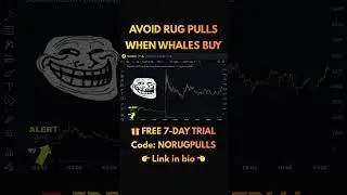How to Avoid Rug Pulls | Whales Bought CAPITALISM +1000% 🚀