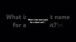 What is the best name for a black cat?