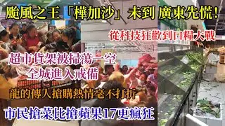颱風之王「樺加沙」未到，廣東先慌！市民搶菜比搶蘋果17更瘋狂，從科技狂歡到口糧大戰，龍的傳人搶購熱情毫不打折，超市貨架被掃蕩一空，全城進入戒備#颱風#樺加沙#暴雨