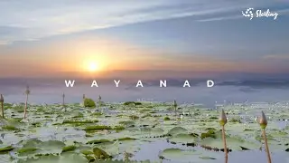 Discover Wayanad: Your Perfect Kerala Getaway with Sterling