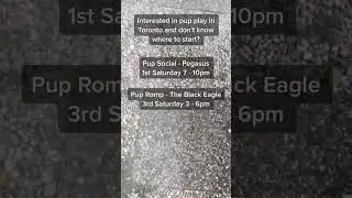 Short: Interested in pup play in Toronto? The Black Eagle and Pegasus are the major monthly events