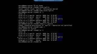 Управление правами доступа к файлам и владельцами в Ubuntu Server