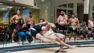 Florida Sumo Association at The METT 2/1/25