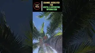 Why Coconut Has Water? |Bizarre But True|