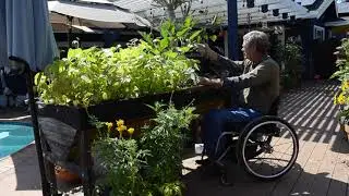 Friendly Inclusive Gardening (Stephen Cantu)