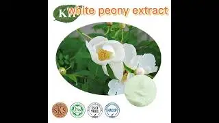 Nature White Peony Extract with 50% Paeoniflorin