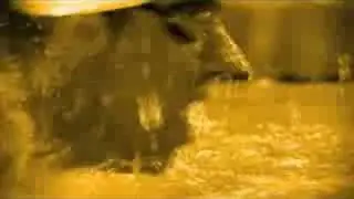 Visa - 