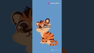 Cute rabbit saves poor little tiger cub