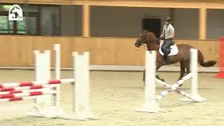 Stilspringen richtig reiten - alles was du f&uuml;r das Parcoursreiten wissen musst