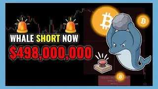 Bitcoin Whale $498 Million Bitcoin Short!! | WHALE ALERT