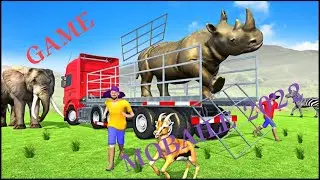 pet animal transport truck driving 3d