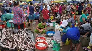 Chbar Ampov Fish Market Scene - Daily Lifestyle of Vendors Selling Alive Fish, Dry Fish & More Food