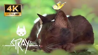 Stray MOD Play as Tortoiseshell Cat Gameplay PC [4K] %