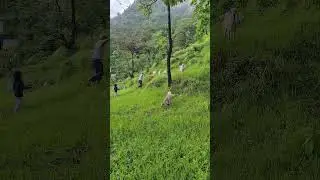 #pahadi #sidhidar#kheti #pahadivlog #mausam #savan #barish #nature #youtubeshorts