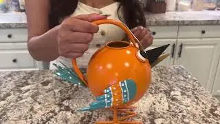 Metal Cute Bird Watering Can,Watering Can Indoor Outdoor Plants, Decorative & Functional Water Pot