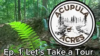 Episode 1- Introduction to the Property