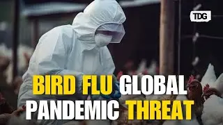 Pandemic Warning: How Bird Flu Could Spark the Next Global Crisis