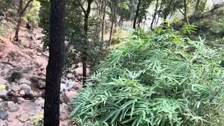 What a beautiful scene of secret waterfall 