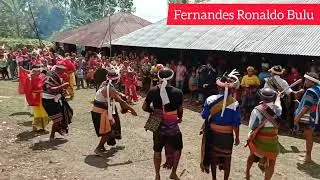 tarian woleka natardana yang sangat menakjubkan\suku weebaka, #dikampungodidjara