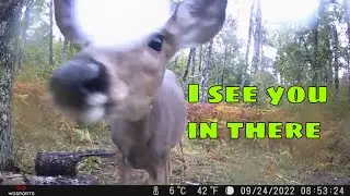 Trail Camera Vlog 70  Back To The Watering Hole