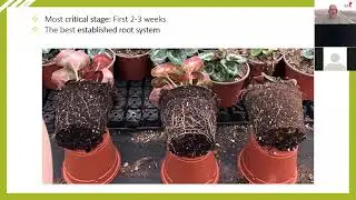 MOREL WEBINAR - Rooting