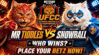 UFCC: Ultimate Fighting Cat Championship: Snowball vs Mr Tiddles