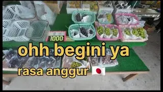 OHH😱!! BEGINI PERTANIAN ANGGUR DI🇯🇵||GOWES DESA JEPANG